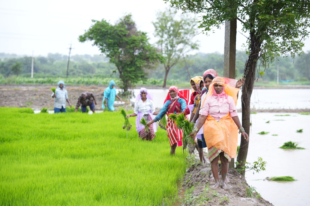 Photo civil society development